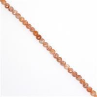 20cts Golden Spot Sunstone Faceted Coins Approx 3.5mm, 38cm