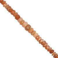 35cts Peach Moonstone Graduated Faceted Rondelle Approx 2x1 to 5.5x3.5mm, 32cm Strand
