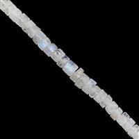 55cts Rainbow Moonstone Graduated Smooth Wheel Approx 4x2 to 7.5x3.5mm, 20cm Strand