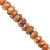 80cts Peach Moonstone Graduated Faceted Rondelle Approx 5x3 to 9x5mm, 22cm Strand