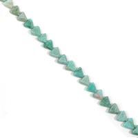 150cts Amazonite Triangles Approx 10mm, 38cm
