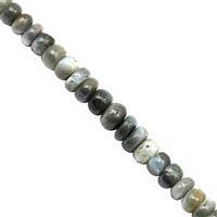16cts Alexandrite Smooth Rondelle Approx 1.5x1 to 4x2.5mm, 18cm Strand