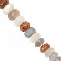 115cts Multi-Colour Moonstone Faceted Rondelle Approx 7x4 to 10x6mm, 22cm Strand