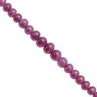 35cts Guinea Mine Ruby Graduated Smooth Rondelle Approx 4x2.5 to 7x4mm, 10cm Strand