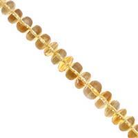 28cts Citrine Graduated Smooth Rondelle Approx 3.5x2 to 7x2.5mm, 10cm Strand