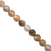 30cts Multi-Colour Moonstone Faceted Round Approx 3 to 4mm, 30cm Strand