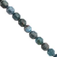300cts Neon Apatite Faceted Drum Approx 9x10mm Beads Necklace with Lobster Lock & Extension -18"+2"Length