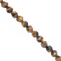 100cts Tigers Eye Faceted Star Cut Approx 6.75 to 7.75mm, 28cm Strand