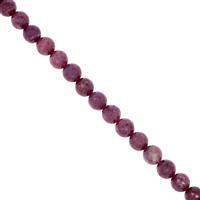 220cts Lepidolite Smooth Round Approx 10mm, 29cm Strand