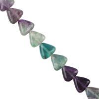 199cts Multi-colour Fluorite Triangle Approx 10mm, 38cm Loose Strands