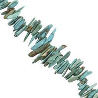 55cts Turquoise Smooth Shards Approx 7x3 to 18x4mm, 20cm Strand 