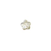 White Shell Five-Petal Flower Approx 15mm, 1pc