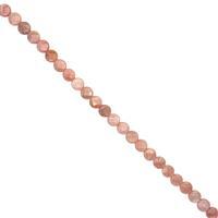 310cts Sunstone Faceted Coins Approx 16mm, 38cm Strand