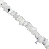 235cts White Moonstone Flat Nuggets Approx 8x12mm, 38cm Strand