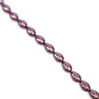 Purple Ringed Baroque Shell Pearls Approx 23.5x17mm, 38cm Strand