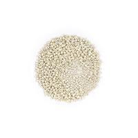 Miyuki Duracoat Galvanised Silver Seed Beads 8/0 (22GM/TB)