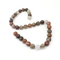 280cts African Wood Agate Approx 10mm, 38cm strand