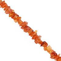 610cts Carnelian Bead Nugget Approx 3.5x2 to 11x4mm, 100inch Strand