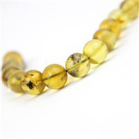 Dominican Amber 8mm Round Beads, 10cm Strand 