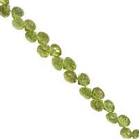 50cts Peridot Top Side Drill Faceted Onion Approx 3.5x4 to 6x5.5mm, 20cm Strand