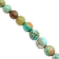 45cts Turquoise Graduated Smooth Round Approx 4 to 8mm, 20cm Strand