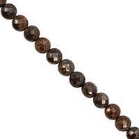 82cts Bronzite Faceted Coin Approx 6 to 6.50mm, 30cm Strand
