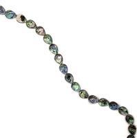 Abalone Flat Pears Approx 18X13mm, 38cm strand